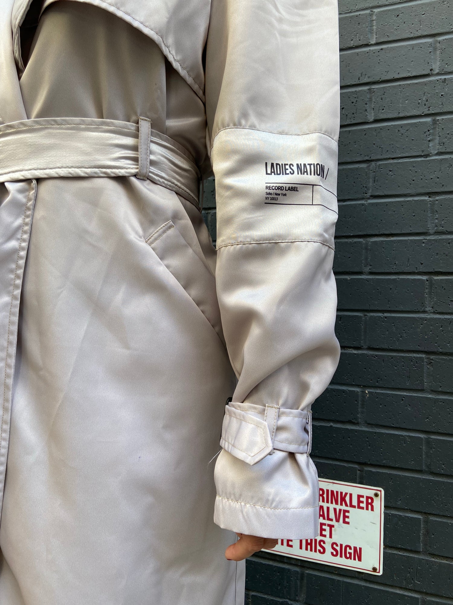 Satin Trench Coat   / Waitlist